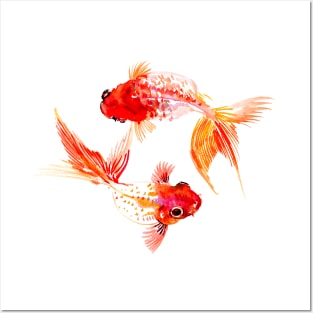 Two Koi Fish, Yin and yang Posters and Art